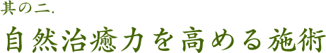 其の二.自然治癒力を高める施術